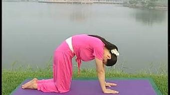 东方瑜伽视频,探寻身心和谐之道