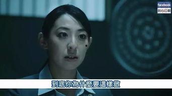 日本啪视频,一场视觉与文化的碰撞