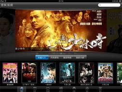 守护视频,视频中的温馨与感动