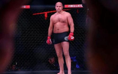 菲多视频,揭秘生活点滴，畅享趣味时光