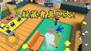 躲猫猫视频,趣味互动视频背后的欢乐时光