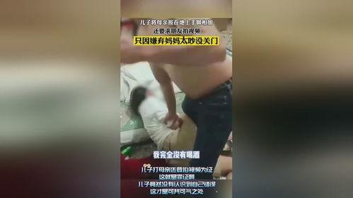 不孝儿视频,亲情裂痕下的道德拷问