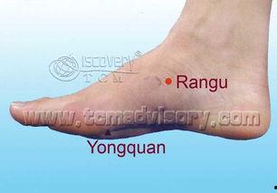 然谷穴视频,揭秘养生保健的神秘穴位