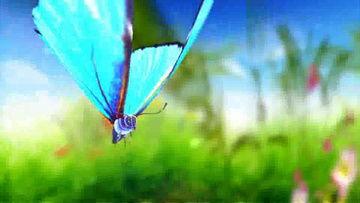 蝴蝶视频下载,轻松获取精彩瞬间