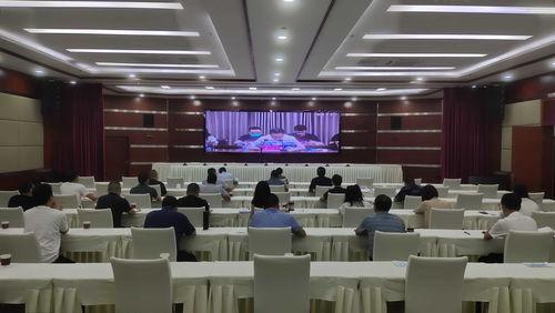 成都视频会议,云端相聚,共话未来