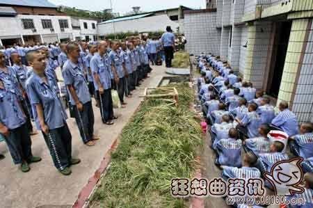 铐犯人视频,铐犯人现场实时监控全记录