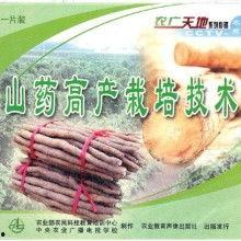 山药栽培技术视频教程