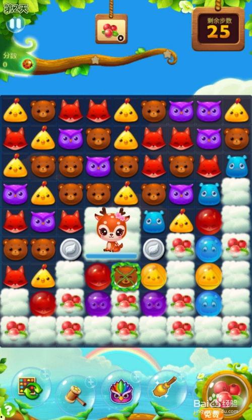 春季周赛视频,视频回顾与亮点解析